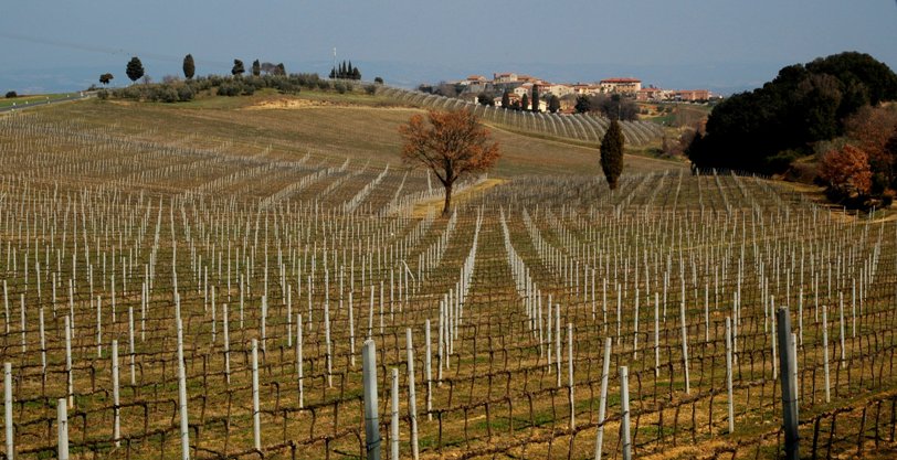 Volterra